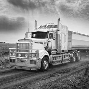 18 1/2" BULLBAR